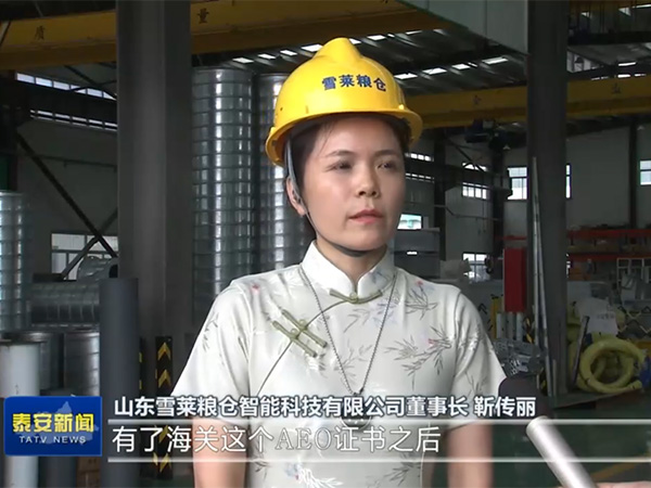 緊跟政策風向，把握跨海之帆-雪萊將以滿腔熱情讓世界愛上中國造